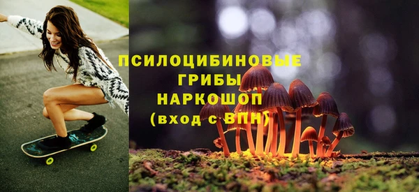 мдпв Козловка