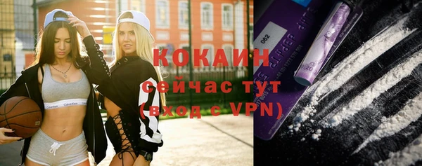 мяу мяу мука Кодинск