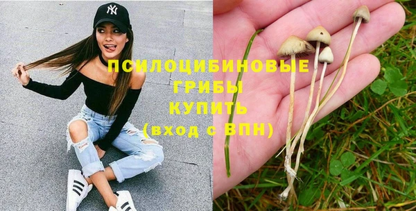 мяу мяу мука Кодинск