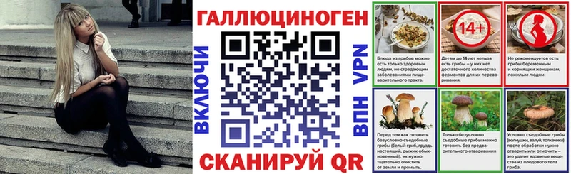 Купить закладки  Гурьевск  Псилоцибиновые грибы мицелий 